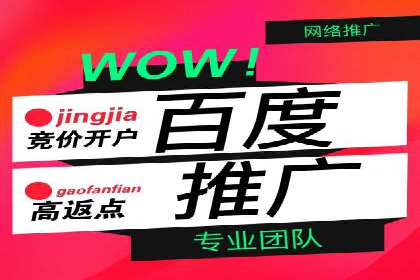 SEM竞价托管实战技巧：案例分析